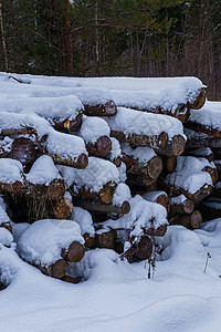 堆积着雪的原木 部分腐烂记录燃料树干团体日志颗粒工艺加工森林资源图片
