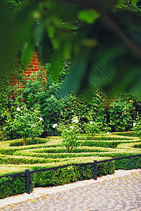 绿色花园和城市公园的景观设计和设计城市建筑绿色植物房子衬套季节草地花园公园图片