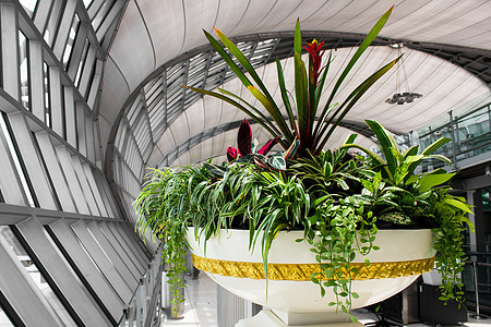 绿色花园植物装饰房间建造建筑学瓷砖建筑温室木头风格玻璃图片