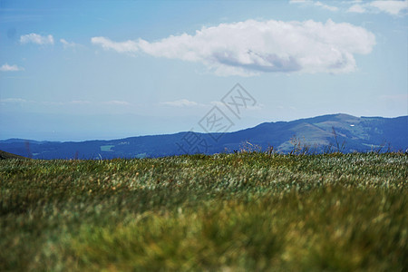以白云和蓝天空观察沃斯日山丘的草平原图片