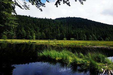 Lispach湖     泥炭地 周围有山丘和树木图片