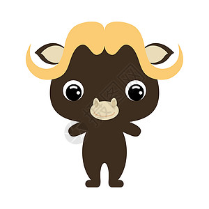 非洲野牛可爱的小麝香牛 非洲动物 它制作图案平面矢量设计图片