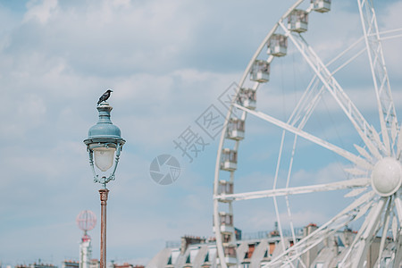 在来自图利里花园的汇合广场上的巴黎罗厄金属旋转旅游飞机旋转木马享受蓝色乐趣天空大轮图片