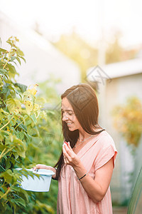 在温室里拿着一篮绿菜和洋葱的年轻女子园艺女孩收成农业绿色植物叶子植物收获萝卜农场图片