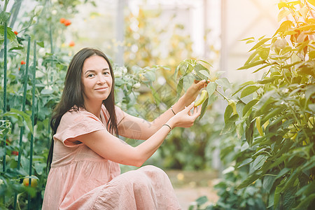 在温室里拿着一篮绿菜和洋葱的年轻女子植物农业微笑农民农场萝卜叶子女孩收成沙拉图片