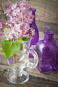 鲜花的一枝新薄膜 阳光下有花朵 站在一瓶水中 用紫罗兰瓶装饰图片