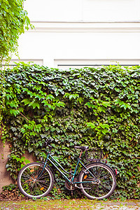 美丽的城市风景和自行车 在旧墙附近 维也纳有鲜花古董城市花朵风格艺术建筑学运输旅游潮人旅行图片