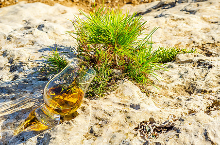 在岩石上的植物上 一杯纯麦威士忌 杯中加玻璃石头悬崖侵蚀矿物活力砂岩饮料麦芽蓝色美丽图片