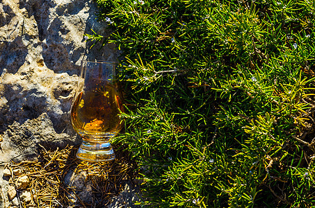 在岩石上的植物上 一杯纯麦威士忌 杯中加玻璃环境砂岩石头侵蚀编队蓝色悬崖美丽麦芽烈酒图片