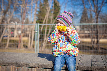 可爱的小女孩 在户外吃玉米粮食转基因食物公园烹饪植物金子女孩帽子小吃图片