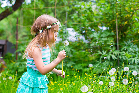可爱的小女孩 在花园里吹着花棚场地情感花朵女孩女性种子脸颊孩子行动金发女郎图片
