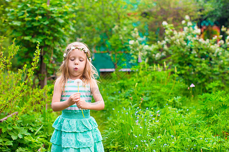 可爱的小女孩 在花园里吹着花棚童年草地花朵女性孩子场地森林乐趣金发女郎喜悦图片