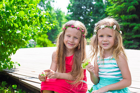 快乐可爱可爱的小女孩们享受温暖的夏日公园叶子压痛幼儿园乐趣紫丁香孩子姐妹童年花园图片