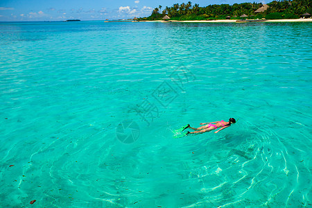 年轻女孩度假时在热带水中潜水异国岛屿面具游客风景浮潜者游泳衣游泳假期海岸图片