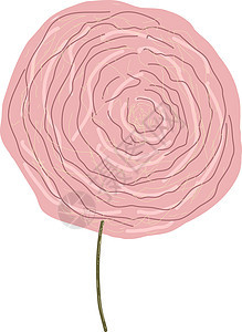白色背景上可爱的粉色玫瑰插画矢量图片