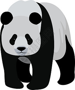 白色背景上的大熊猫图片