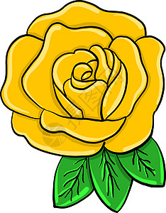 白色背景上的黄玫瑰插画矢量图片