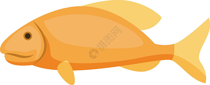 白色背景上的黄色卡通片宠物橙子动物水族馆海洋热带金鱼气泡生活图片