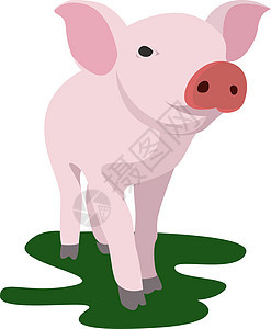 白色背景上的猪动物绘画公鸡食物小牛羊肉火鸡艺术雕刻野生动物图片