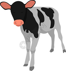 白色背景上的黑色和白色奶牛艺术哺乳动物奶制品小牛草图食物家畜绘画牛肉图片