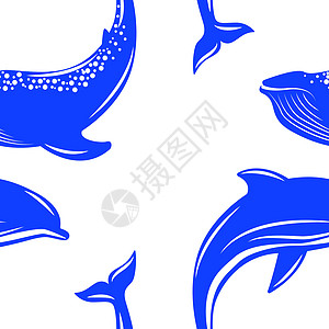海豚和鲸鱼 矢量插图平面样式 无缝模式图片