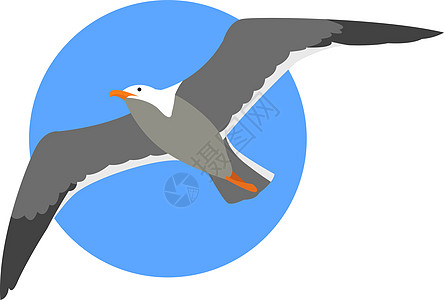 白色背景上的海鸥飞翔插画矢量图片