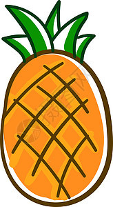 白色背景上的食物植物艺术绿色情调黄色菠萝异国饮食热带图片