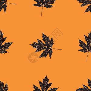 树叶的印刷品 无缝模式 加拿大枫树情调烙印艺术纺织品装饰品青菜植物群生态树木异国图片