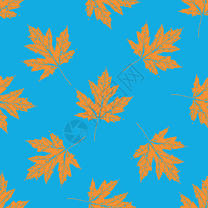 树叶的印刷品 无缝模式 加拿大枫树风格植物树木装饰品打印艺术情调叶子植物学异国图片