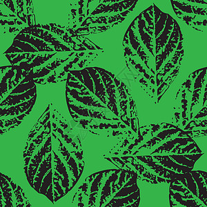 树叶的印刷品 无缝模式植物花园纺织品艺术叶子青菜装饰异国打印生物图片