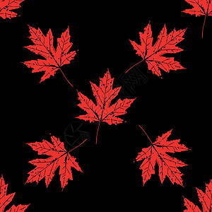 树叶的印刷品 无缝模式 加拿大枫树装饰品植物群花园植物艺术插图季节纺织品树木生态图片