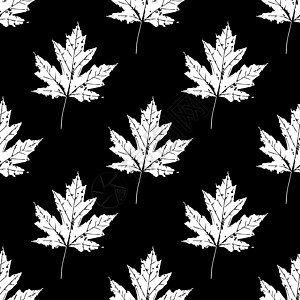 树叶的印刷品 无缝模式 加拿大枫树植物装饰品生态花园艺术森林织物装饰印象风格图片