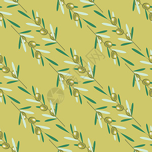 橄榄树的分支 无缝模式 绿橄榄果叶生物收成食物植物插图情调异国卡通片艺术分支机构图片