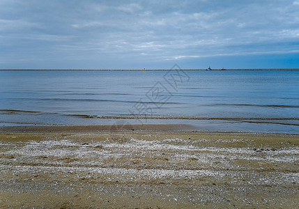 在斯温努日斯基(November) 在Swinoujscie的黄海附近充满白壳的海滩图片