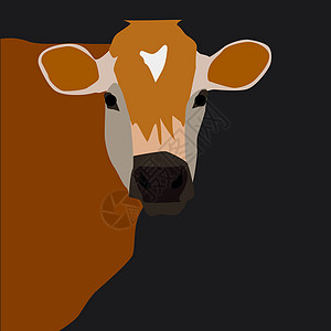 白色背景上的棕色卡通片动物乐趣农业奶制品农场奶牛哺乳动物小牛食物背景图片