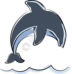 白色 b 上从水中跳出的海豚插画矢量图片