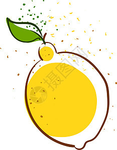 白色背景上的新鲜柠檬插画矢量叶子水果种子香橼黄色插图包装食物图片