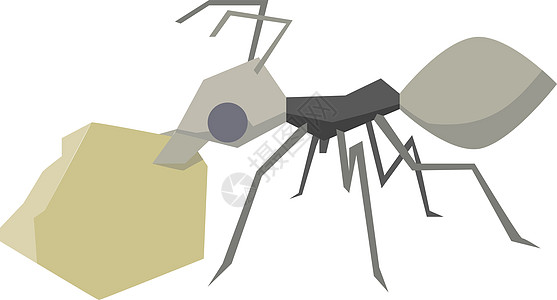 白色背景上带有的蚂蚁野餐艺术水果昆虫卡通片植物动物剪贴簿糖果插图图片