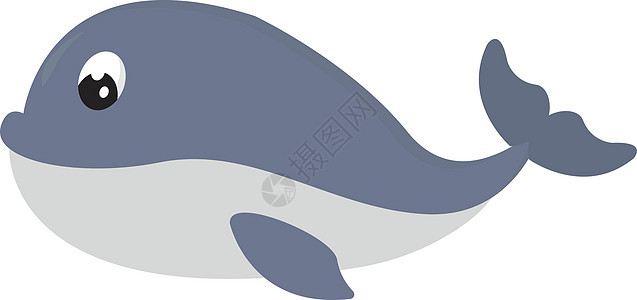 白色背景上的蓝鲸海洋生活艺术卡通片哺乳动物荒野蓝色野生动物动物图片