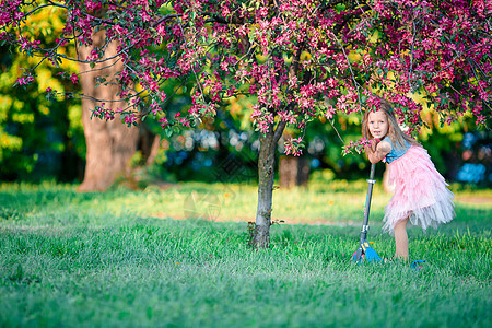 春日 小女孩在盛开的苹果树花园里玩骑摩托车图片