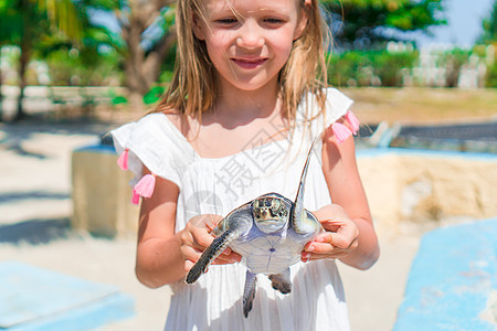 可爱的小可爱女孩 在后备队手里拿着一只小乌龟旅行苗圃生物生活两栖蓝色乌龟甲蟹海岸孩子们图片