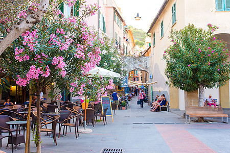 在意大利辛克特尔海岸村庄里 旧的美丽空旷 狭窄的街道和美丽的花丛树图片