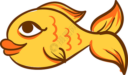 白色背景上的金鱼插画矢量金子动物热带宠物鱼缸生活尾巴卡通片游泳水族馆图片