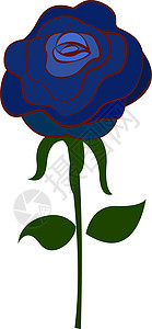 白色背景上的蓝色玫瑰插画矢量图片