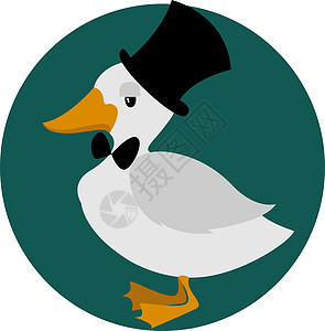 白色背景上带帽子的鸭子图片