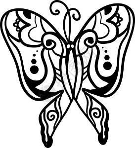 白色背景上的蝴蝶插图收藏飞行黑色绘画动物草图昆虫艺术图片