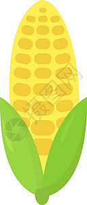 白色背景上的黄色玉米蔬菜粮食玉米芯棒子叶子营养插图种子绿色图片