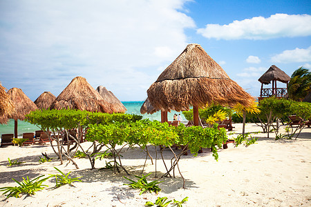 拥有雨伞和沙椅的热带空沙滩平地天堂景色海岸休息室椅子情调晴天海滩海岸线蓝色旅行海景图片