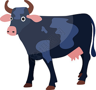 白色背景上的蓝牛插画矢量图片