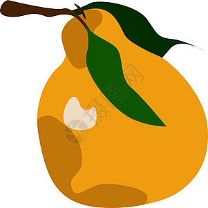 白色背景上的橙色黄色绿色食物健康水果叶子卡通片橙子插图饮食图片